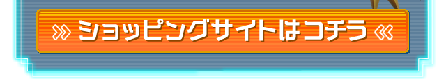 ショッピングサイトはコチラ